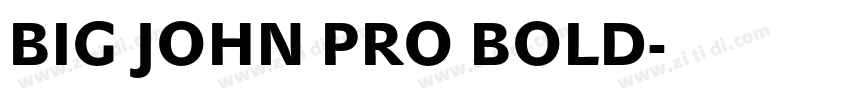 BIG JOHN PRO BOLD字体转换